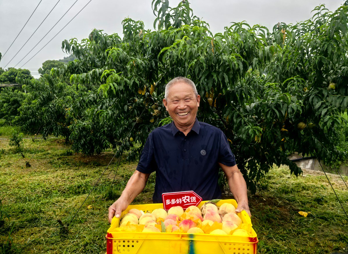 拼多多變“重”：再投百億建設(shè)平臺生態(tài)  第1張