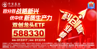 光伏雄起的原因或已找到！陽光電源漲超6%，硬科技寬基——雙創(chuàng)龍頭ETF（588330）最高上探1．43%  第7張