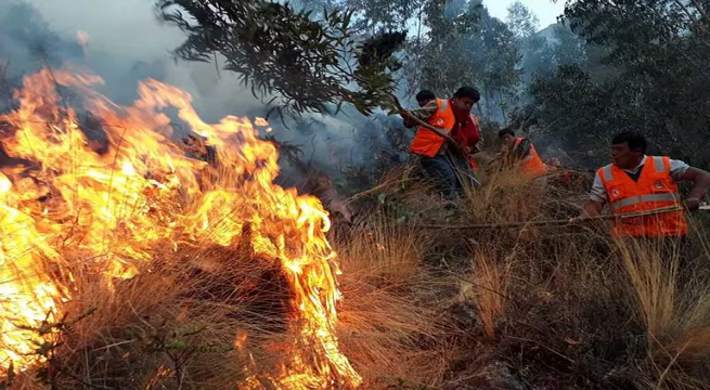 秘魯今年以來已發(fā)生超2500起森林火災(zāi)