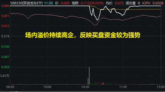 主力資金大舉加碼權(quán)重板塊，雙創(chuàng)龍頭ETF（588330）封死漲停板，標(biāo)的指數(shù)近9成成份股漲超10%！