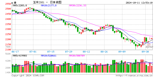 節(jié)后德州玉米市場漲跌互顯