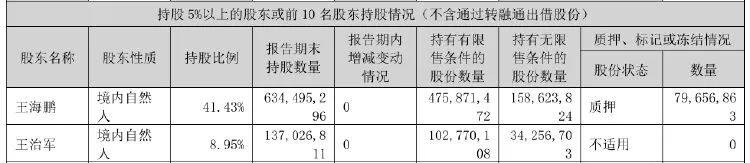 美盈森實(shí)控人同意償還逾10億元債務(wù)，所持全部股份仍凍結(jié)