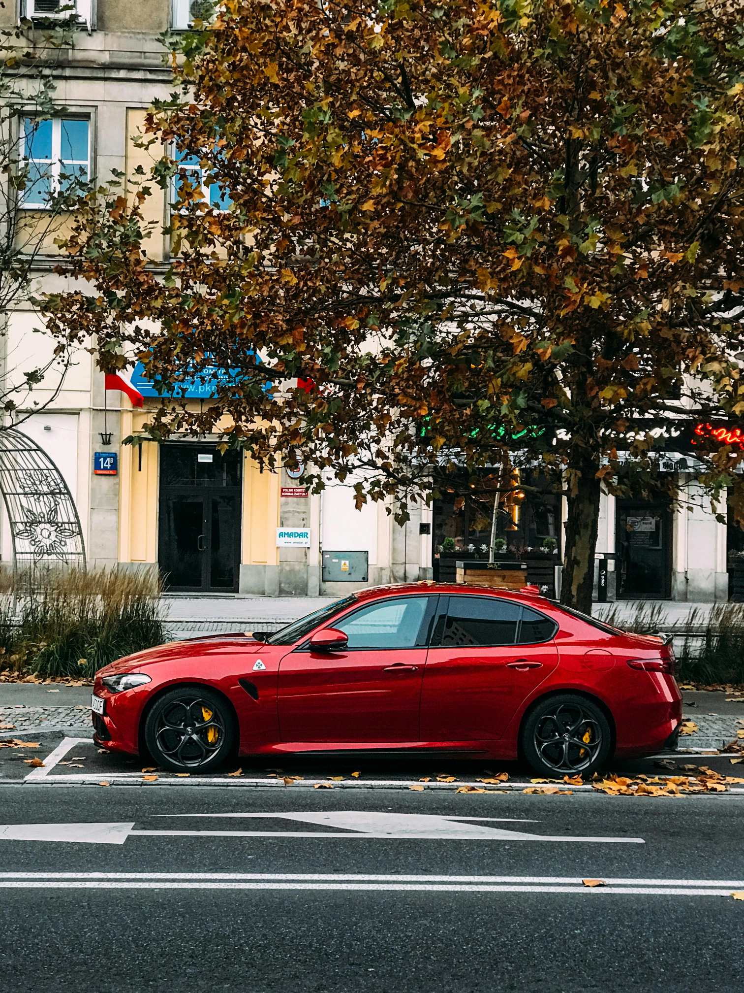 汽車款式型號怎么看？識別汽車款式型號有哪些技巧？