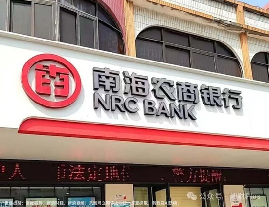 廣東南海農(nóng)商銀行估值6億多的股份被拍賣，持股所有人為身家百億富豪  第2張