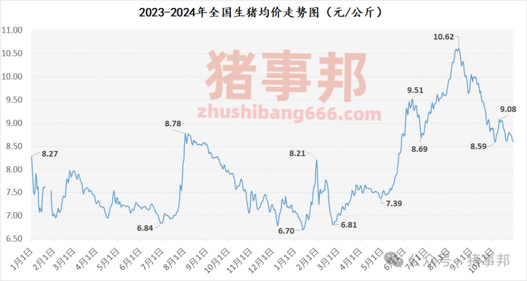 10月29日豬價(jià)匯總（均價(jià)連跌6天！）  第4張