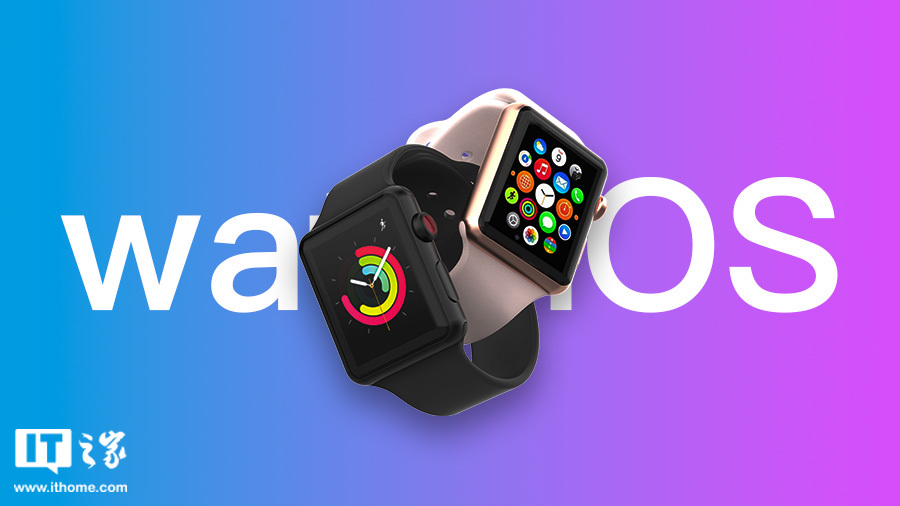 蘋果 watchOS 11.2 開發(fā)者預(yù)覽版 Beta 發(fā)布  第1張