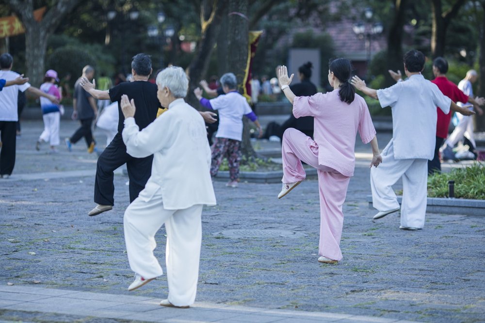 19省份邁過中度老齡化門檻，“最老”的是它  第7張