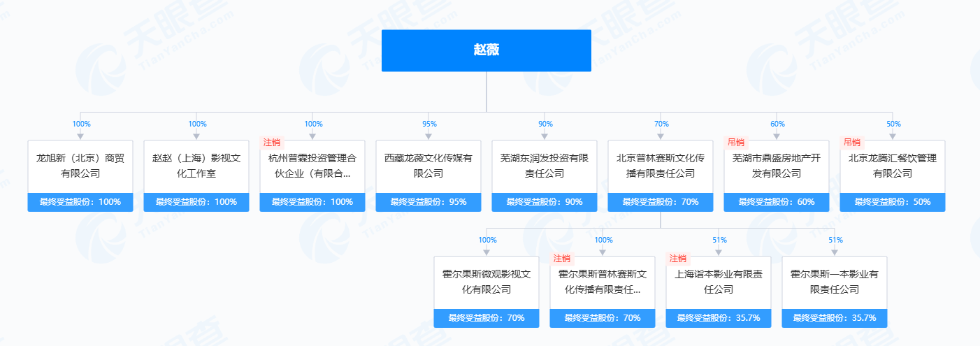 熱搜第一！趙薇公司被強制執(zhí)行14177元  第6張