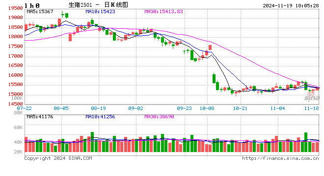 每日豬訊11.19  第2張