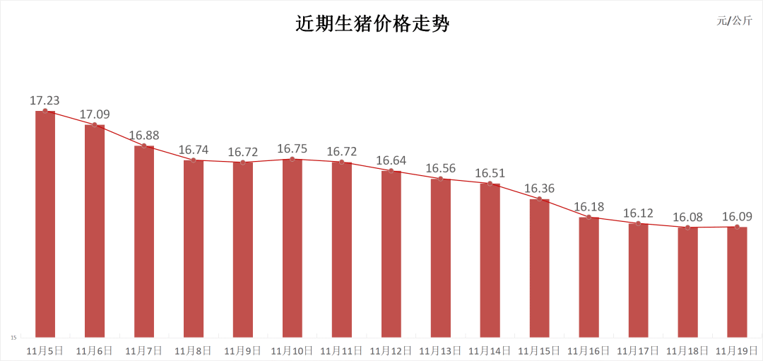 每日豬訊11.19  第3張